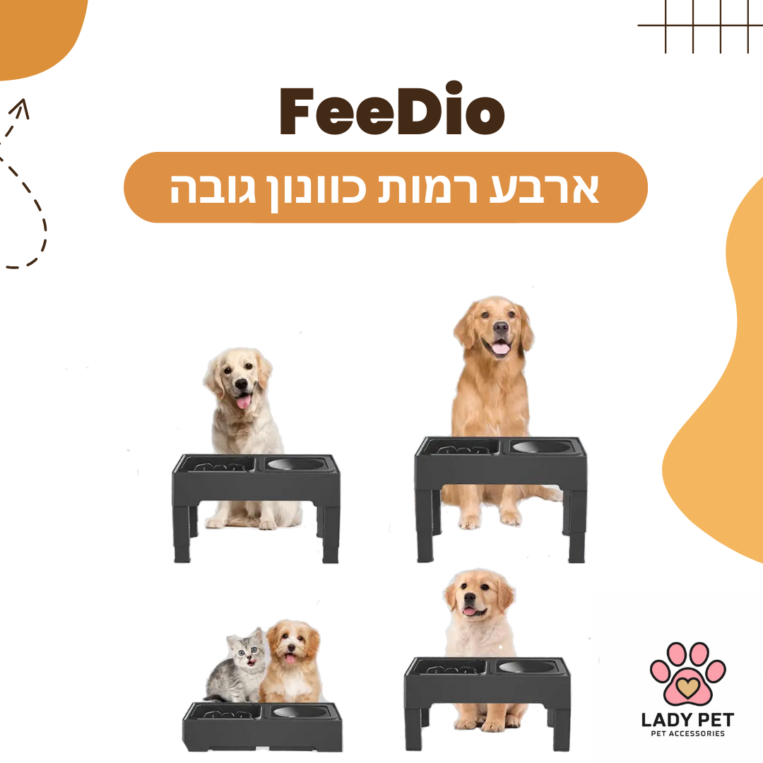 עותק של עותק של Orange White Playful Pet Shop Instagram Post (Square).png__PID:9eb0bf1e-72d4-4e9f-81c6-2811dbbc492e