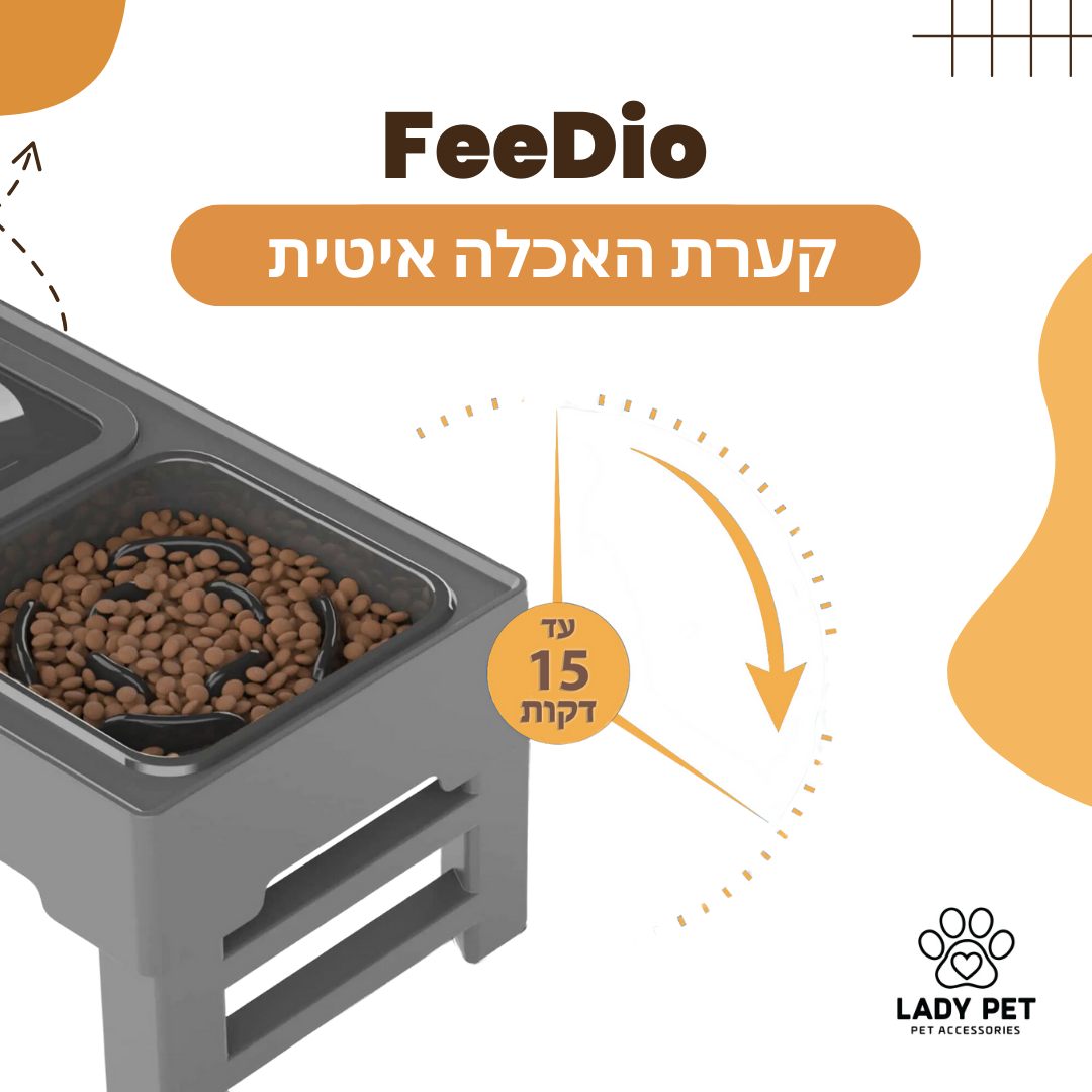 עותק של עותק של Orange White Playful Pet Shop Instagram Post (Square) (1).png__PID:ff0fc45b-23ae-4f0e-b2fe-7cc4e3e20761