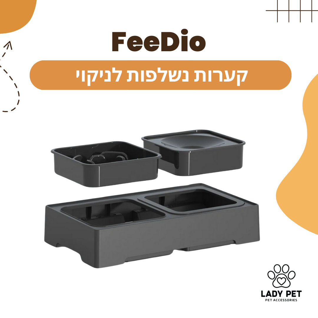 עותק של עותק של Orange White Playful Pet Shop Instagram Post (Square).png__PID:19e23653-7caf-4c25-aeda-75231977083a